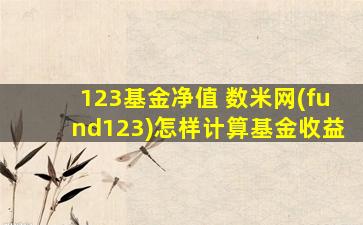 123基金净值 数米网(fund123)怎样计算基金收益